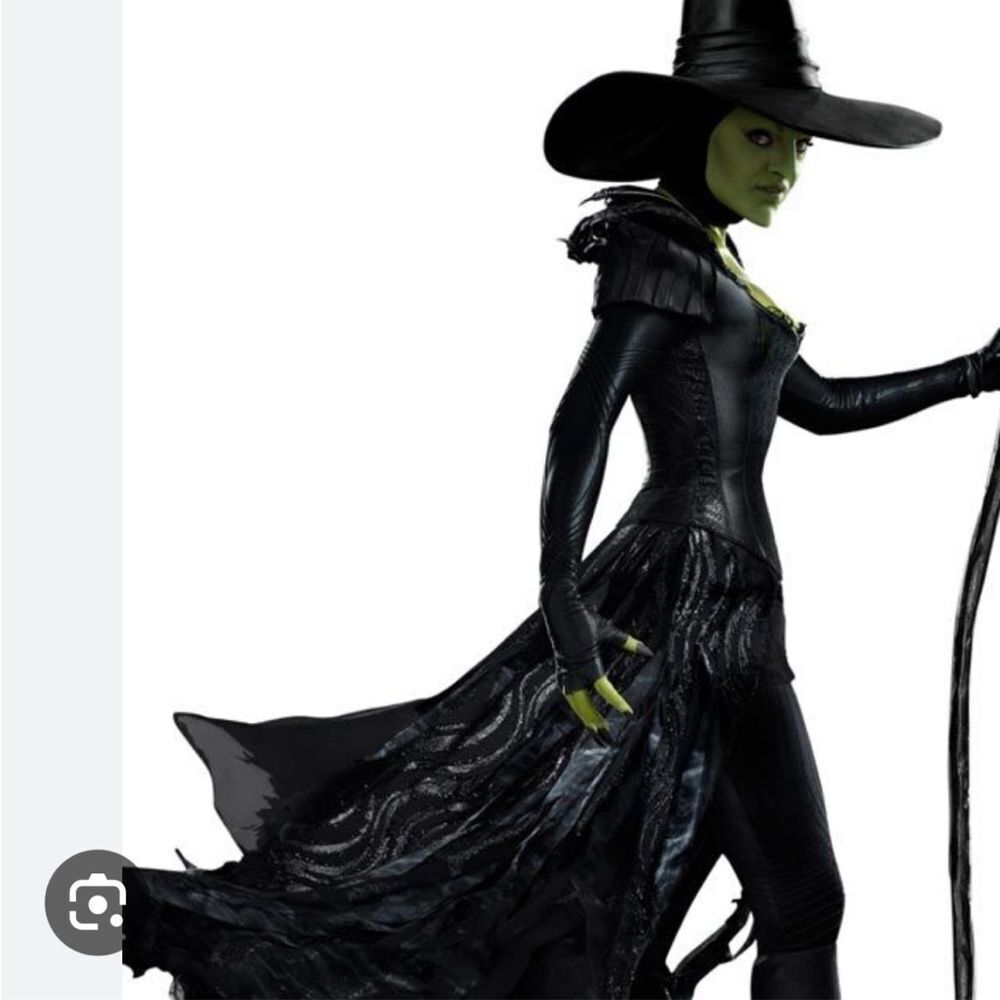 Disney Oz WICKED WITCH BLACK HAT Adult Disney Store, Never got to wear - Picture 5 of 12